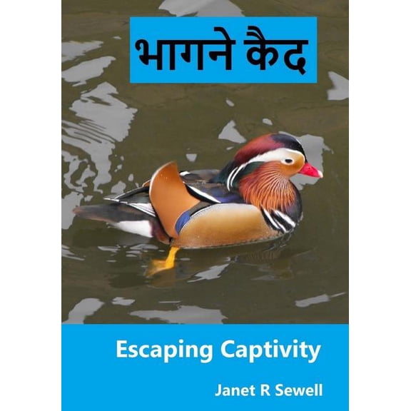 Escaping Captivity: A Simple Guide to Becoming Whole in Christ (Hindi Edition)