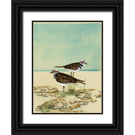 Escobedo, Mary 12x14 Black Ornate Wood Framed with Double Matting Museum Art Print Titled - Killdeer By The Sea