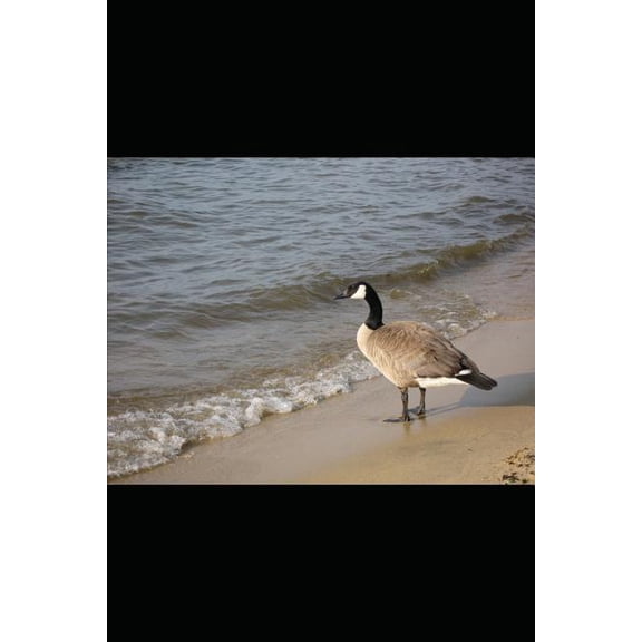 Escuela Para Suegros escuela para suegros 3 la mision: la mision, Book 2, (Paperback)