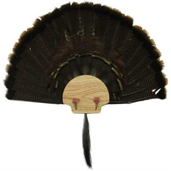 ESH Turkey Fan Mount Kit, Custom State Natural Oak with Turkey Tail Mounting Kit