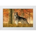 thumbnail image 1 of Eskridge, Daniel 24x16 White Modern Wood Framed Museum Art Print Titled - A Wolf In Autumn, 1 of 4