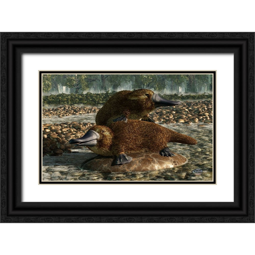 Eskridge, Daniel 32x22 Black Ornate Wood Framed with Double Matting ...