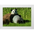 thumbnail image 1 of Eskridge, Daniel 32x23 White Modern Wood Framed Museum Art Print Titled - Reclining Panda, 1 of 4