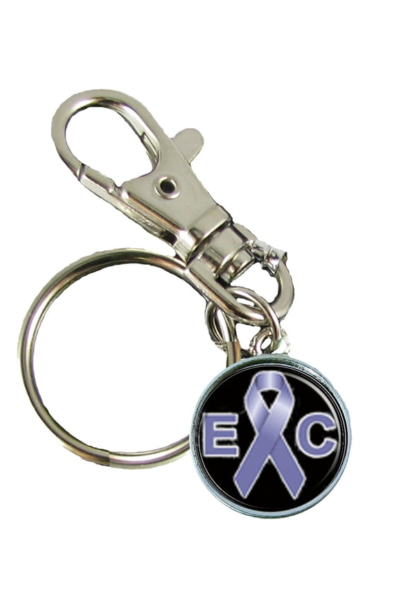 Esophageal Cancer Awareness Keychain Support Silver Plated Jewelry Key Chain
