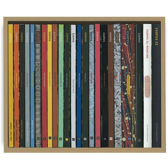 Esopus 24: Spring 2017 (Other)