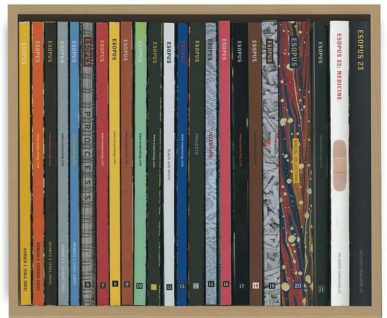 Esopus 24 Spring 2017 (Paperback)