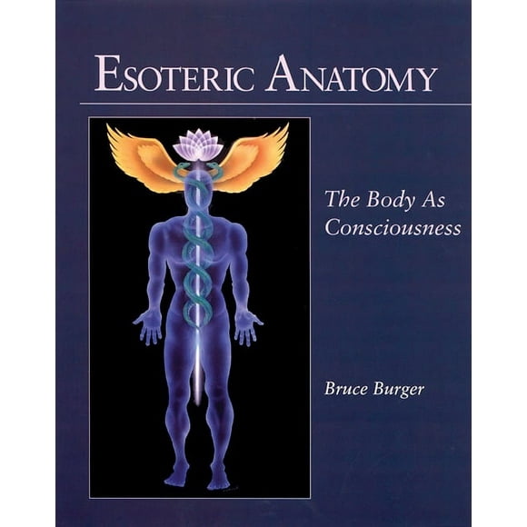 Esoteric Anatomy : The Body as Consciousness (Paperback)