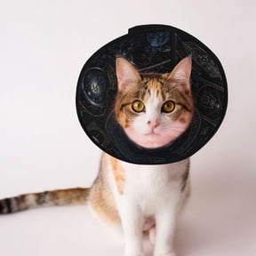 Esoteric Raven Mystical Soft Pet Recovery Collar for Cats Small Dogs, Protective Elizabeth Collar for Post-Surgery, Anti-Lick & Anti-Scratch