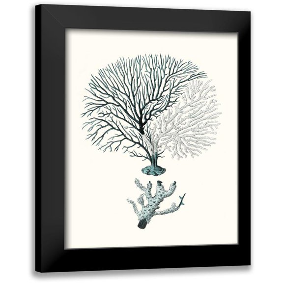Esper, Johann 12x14 Black Modern Framed Museum Art Print Titled - Antique Coastal Coral III
