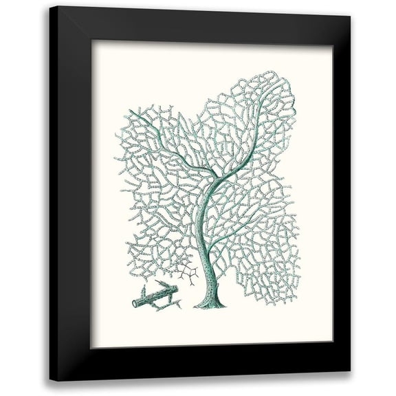 Esper, Johann 12x14 Black Modern Framed Museum Art Print Titled - Antique Coastal Coral II