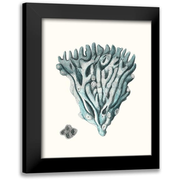 Esper, Johann 12x14 Black Modern Framed Museum Art Print Titled - Antique Coastal Coral X