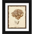 thumbnail image 1 of Esper, Johann 12x14 Black Ornate Wood Framed with Double Matting Museum Art Print Titled - Natura Coral II, 1 of 4
