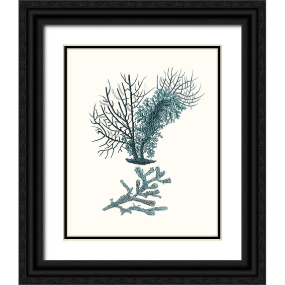 Esper, Johann 15x18 Black Ornate Wood Framed with Double Matting Museum Art Print Titled - Antique Coastal Coral VI