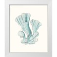 thumbnail image 1 of Esper, Johann 15x18 White Modern Wood Framed Museum Art Print Titled - Antique Coastal Coral XI, 1 of 4