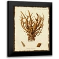thumbnail image 1 of Esper, Johann 20x24 Black Modern Framed Museum Art Print Titled - Natura Coral V, 1 of 5