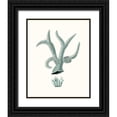 thumbnail image 1 of Esper, Johann 20x24 Black Ornate Wood Framed with Double Matting Museum Art Print Titled - Antique Coastal Coral XII, 1 of 4