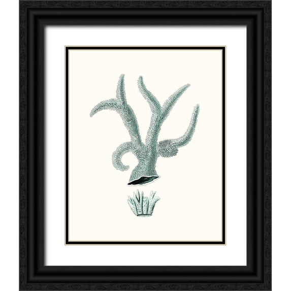 Esper, Johann 20x24 Black Ornate Wood Framed with Double Matting Museum Art Print Titled - Antique Coastal Coral XII