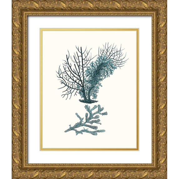 Esper, Johann 26x32 Gold Ornate Wood Framed with Double Matting Museum Art Print Titled - Antique Coastal Coral VI