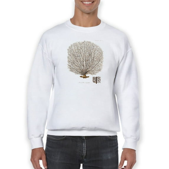 Esper Sea Fans I. Sweatshirt Men -Jennifer Paxton Parker Designs, Male 5X-Large