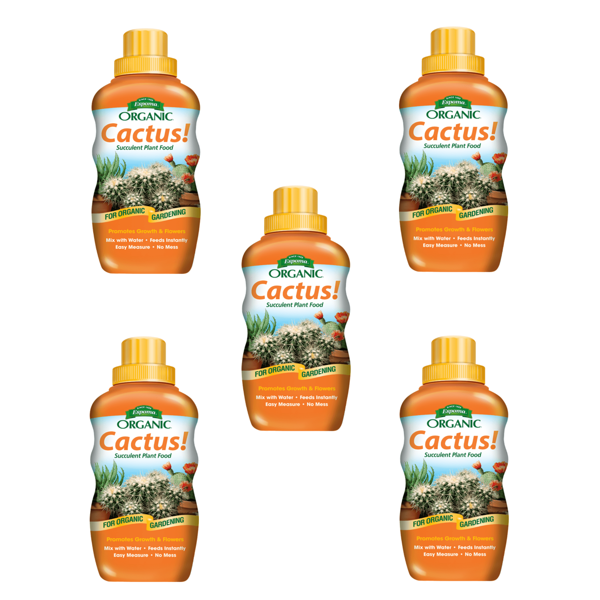 Espoma Cactus! Liquid Plant Food, Natural & Organic Succulent Plant Food, 8  fl oz, Pack of 5 - Walmart.com