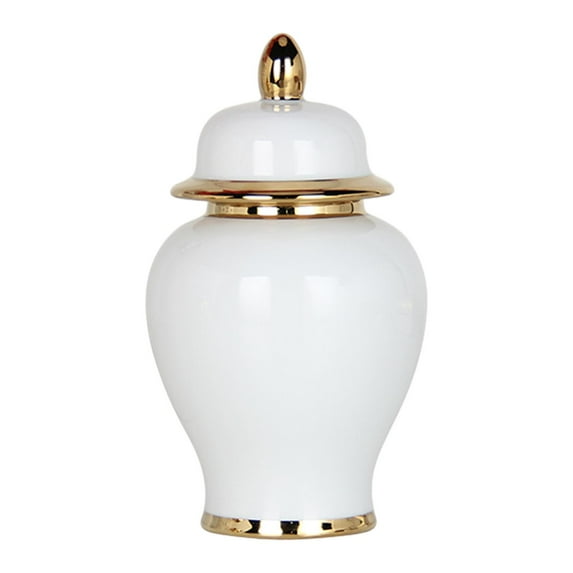 Esquirla Ceramic Vase Porcelain Ginger Jar Decoration Display Handicraft Ornaments Temple Jar Tea Storage Jar for Storage Tank Bedroom White