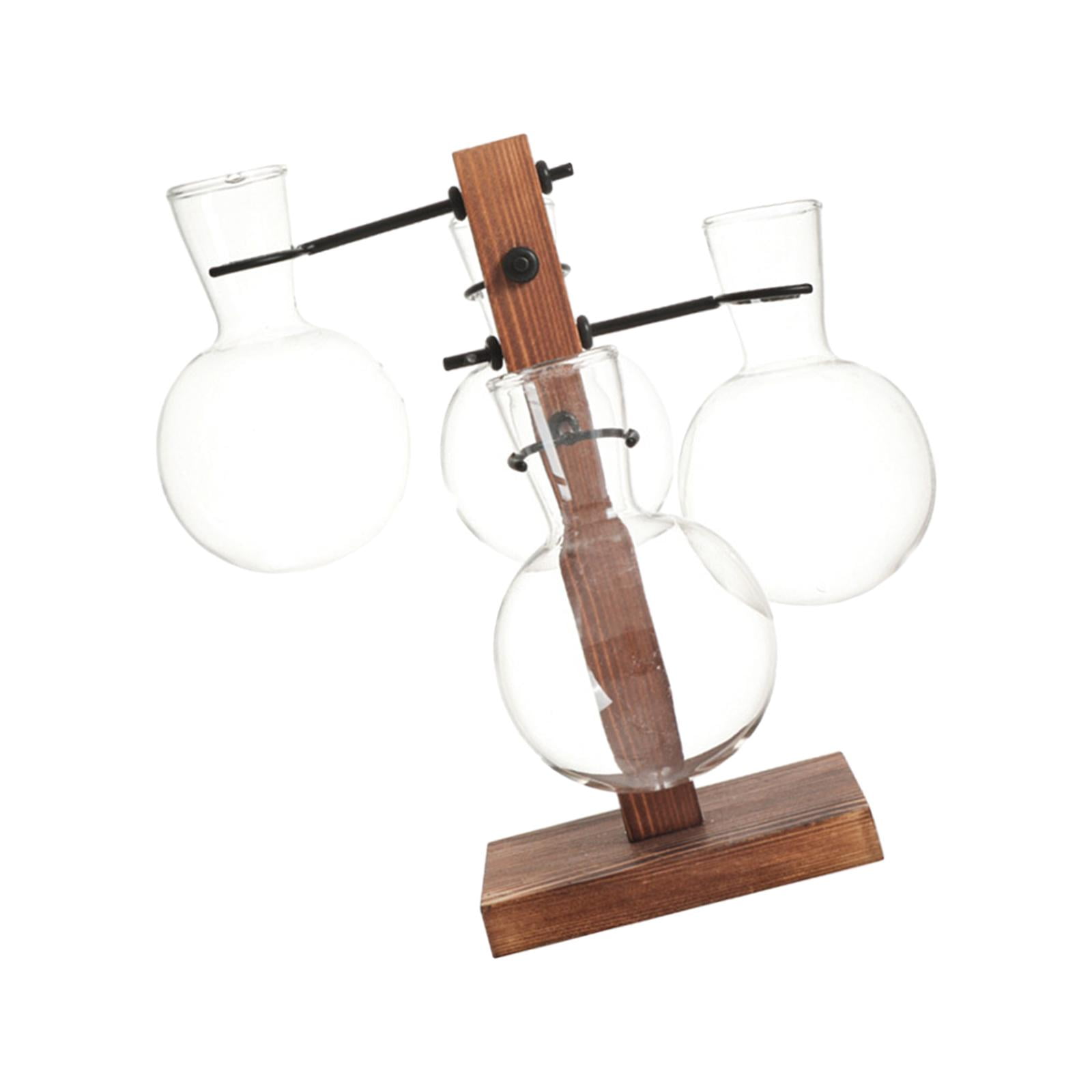 Esquirla Plant Terrarium, Wooden Stand, Desktop Glass Planter, Vase ...