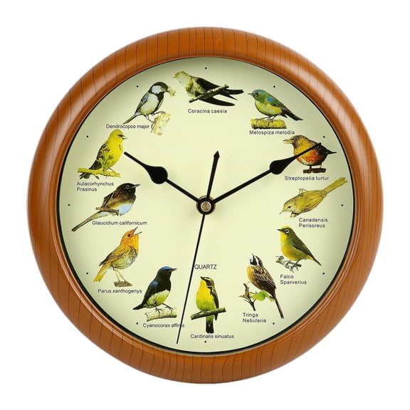 Esquirla Singing Bird Wall Clock, Decorative, Minimalist, Modern, Quiet Hanging Watch, Which Sings for The Office, Kitchen And at Home Every Full Hour