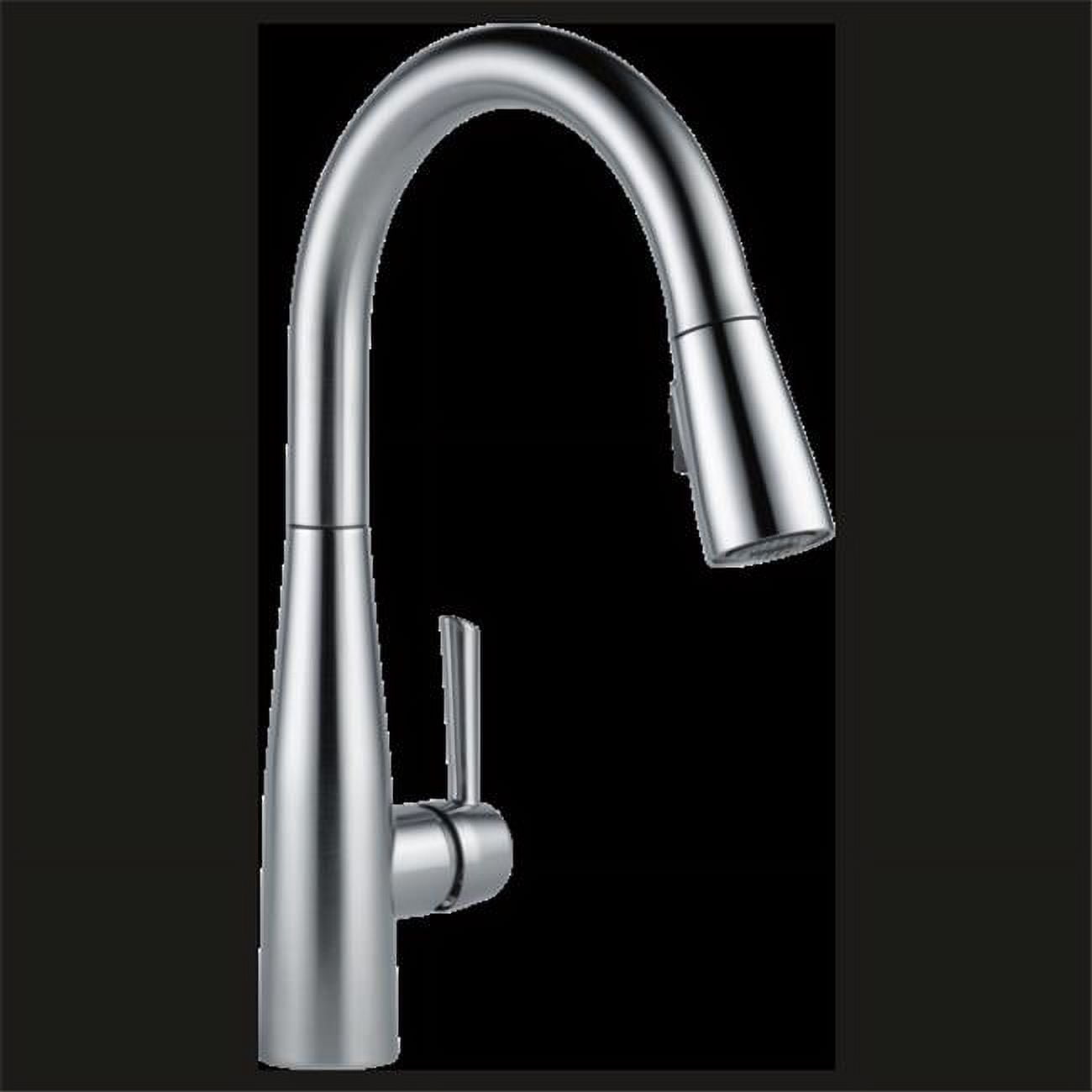 Essa Single Handle Pull-Down Kitchen Faucet - Arctic Stainless ...