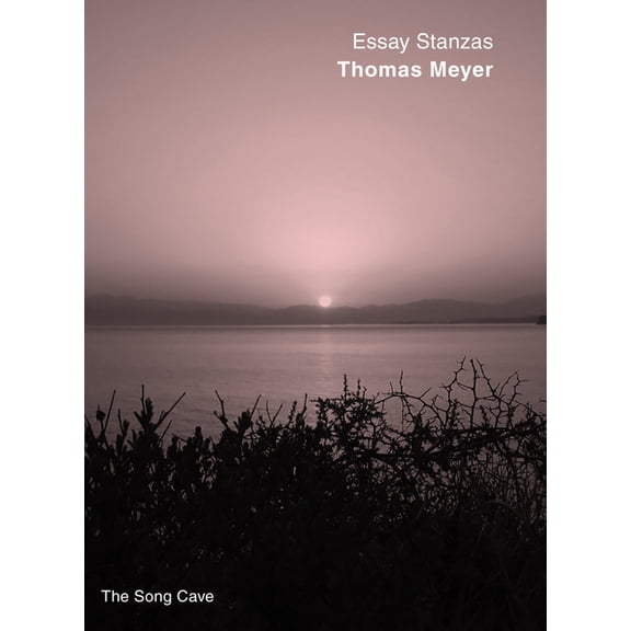 Essay Stanzas, (Paperback)