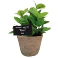thumbnail image 1 of Esschert Design Artificial Herb Plant, Large, 4.2"D x 4.2"W x 7.5"H, Mint, 1 of 1