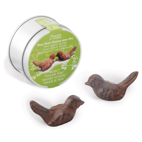 Esschert Design E8216 The Gift Box of Birds -Thank You - Rusted Finish in Display Box