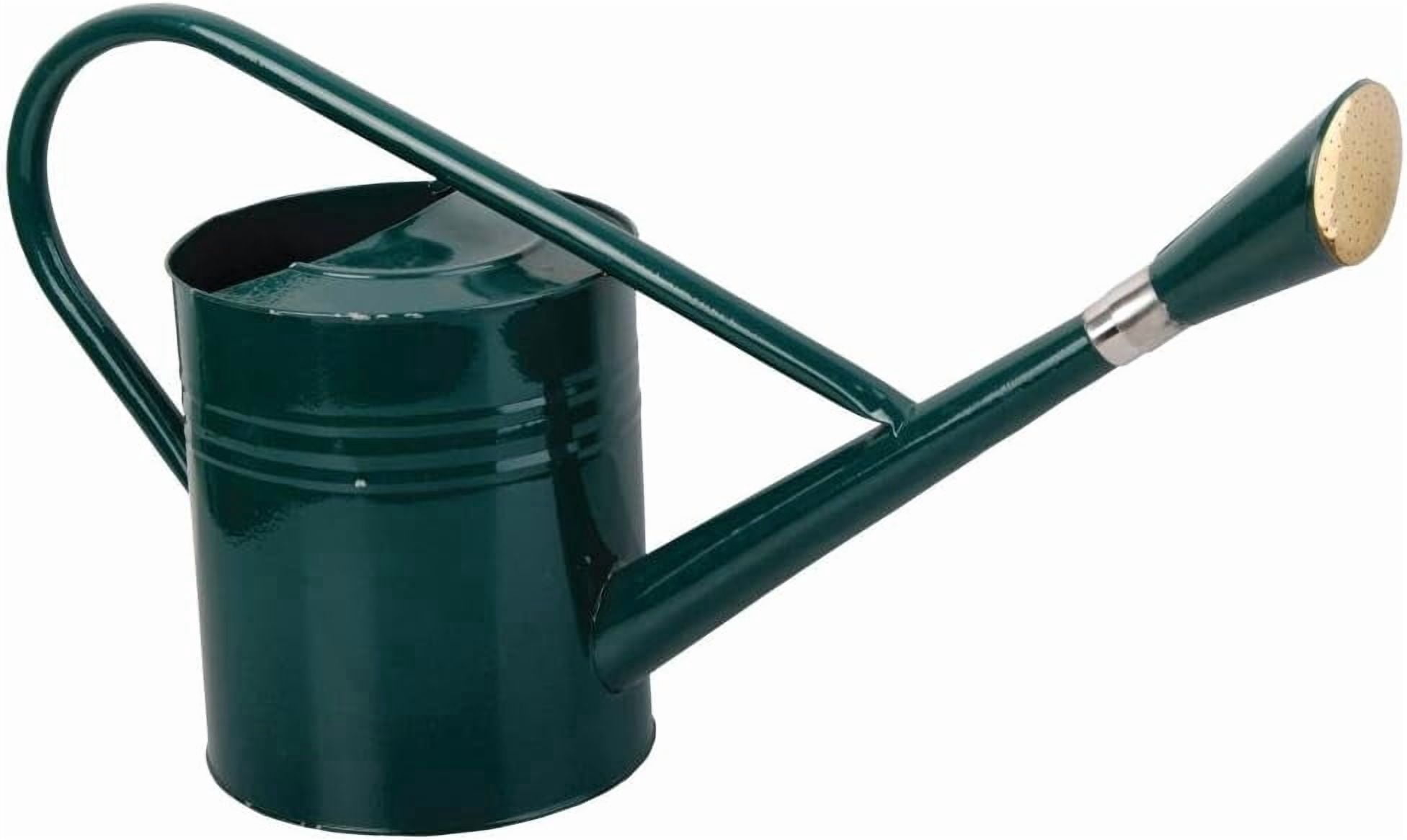 Galvanized Steel Watering Can with Long Spout