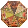 thumbnail image 1 of Esschert Design TP208 Umbrella Autumn, 1 of 1