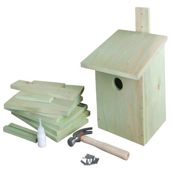Esschert Design USA KG52 Children's Build it Yourself Birdhouse Kit