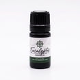 thumbnail image 1 of Essence Eucalyptus Essential Oil, 5 mL – Aromatherapy Oil for Diffuser and Home Use, 1 of 6