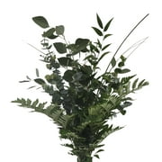 Essence Greens Bouquet 5 Pack of Farm Direct Fresh Cut Flowers Bouquets of Mixed Greenery by Bloomingmore