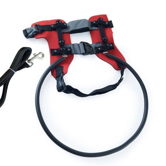 Essential Adjustable Protective Safety Bumper Collar with Leash for Blind Dog