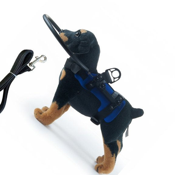 Essential Adjustable Protective Safety Bumper Collar with Leash for Blind Dog