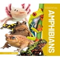 thumbnail image 1 of Essential Animals Essential Amphibians, (Hardcover), 1 of 1