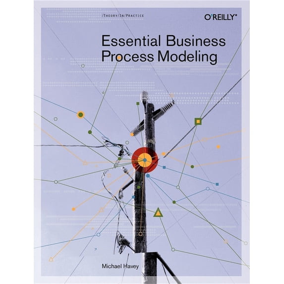 Essential Business Process Modeling (Paperback)