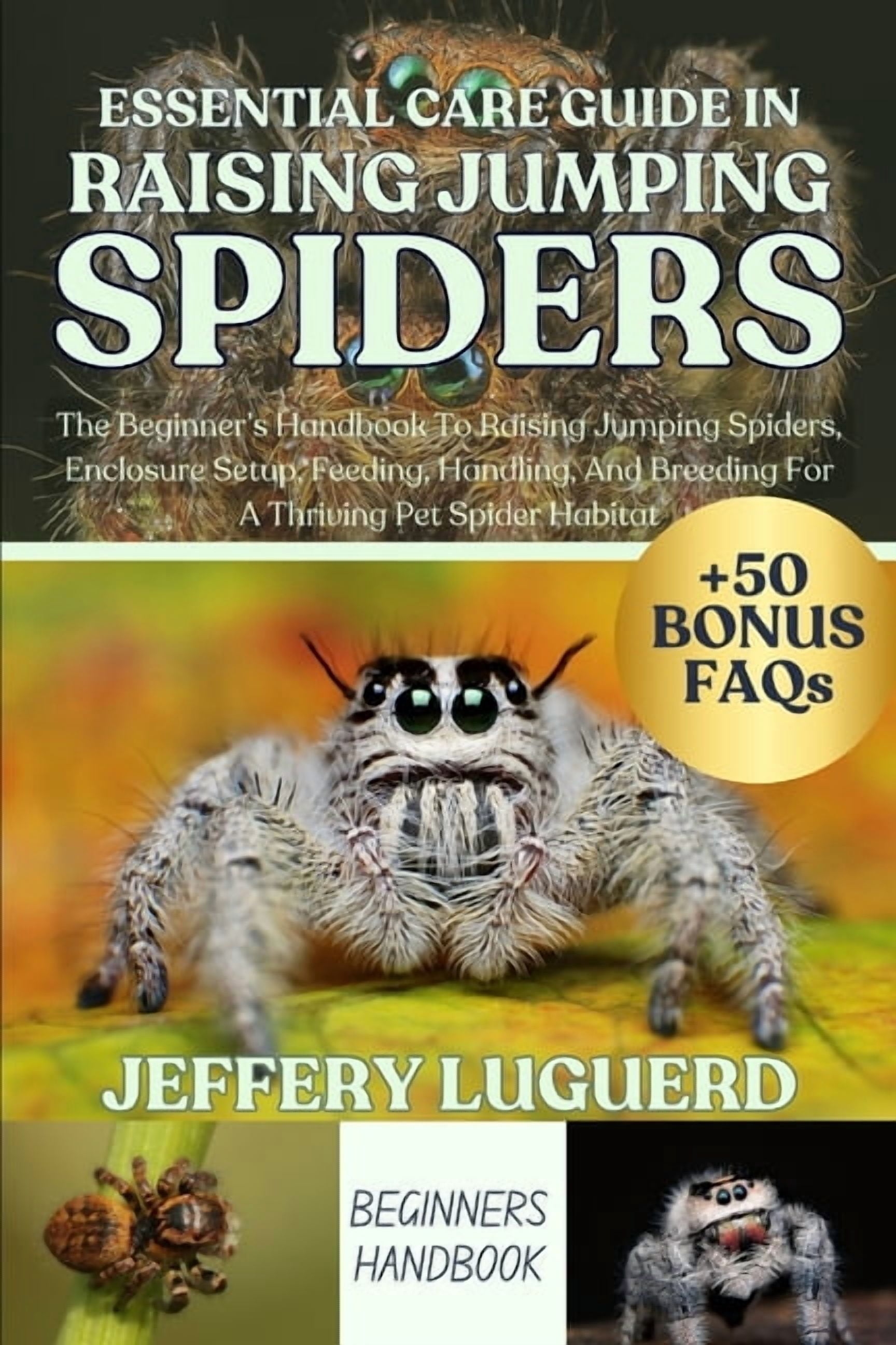 Essential Guide to Raising Jumping Spiders