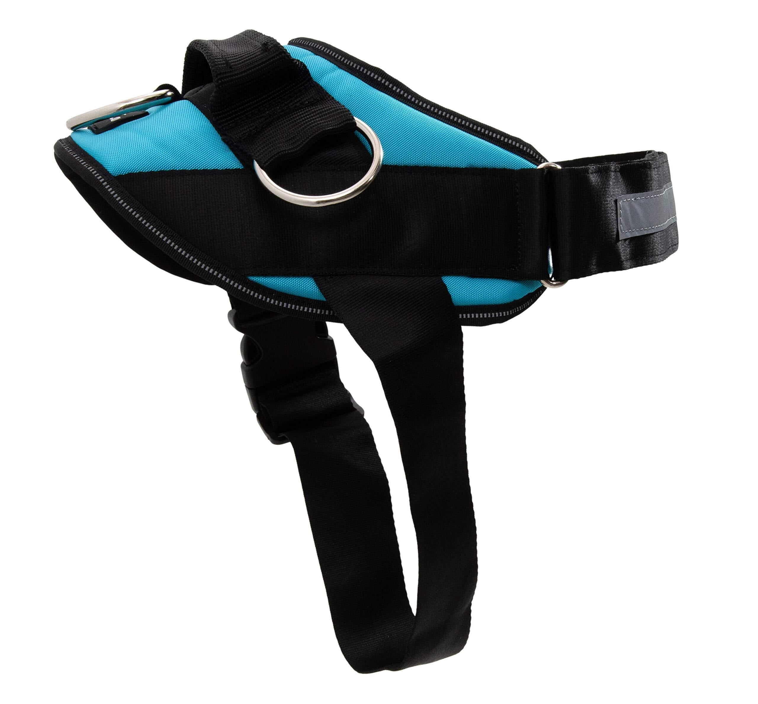 Essential Dog Harness, No-Pull Pet Vest with 3 Leash Clips, No Choke, Reflective, Adjustable and Padded, for Easy Walking and Training for Small, Medium and Large Dogs (Oceanic Blue, Medium)