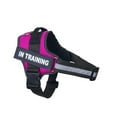 thumbnail image 1 of Essential Dog Harness, No Pull Pet Harness with 3 Side Rings for Leash Placement, No Choke, Reflective, Adjustable Pet Vest, Easy On-Off & Improved Control Handle, Training, Walking, Running, 1 of 5