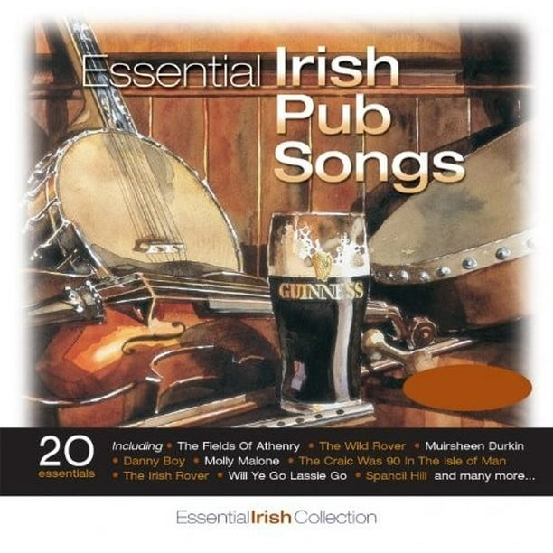 Essential Irish Pub Songs / Various (CD)