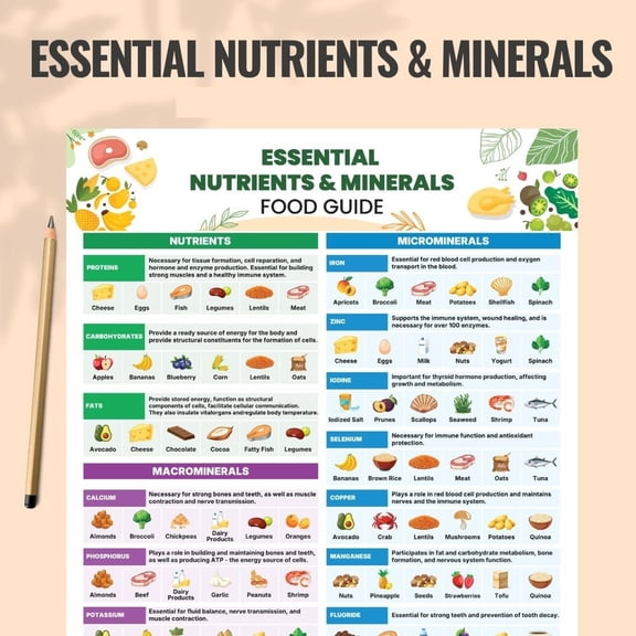Essential Nutrients And Minerals Memo Poster Supplementary Reference Guide And Nutritional Facts Food List Poster