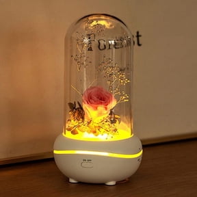 Essential Oil Diffuser, Eternal Rose Flower Aromatherapy Lamp, Night Light Mist Diffusers,Aromatherapy Preserved Roses in Glass Dome for Valentine's Day