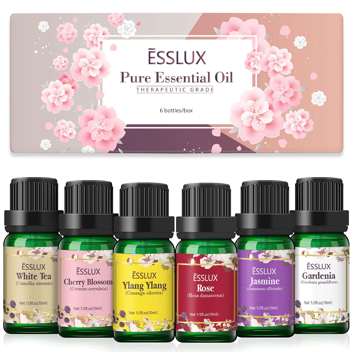 Floral Fragrance Oil Collection - Premium Grade Gift Set Oils for Diffuser,  DIY Candle Making, Soap Scents, Slime, Home, Aromatherapy - Jasmine,  Vanilla, Parma Violet, Freesia, Lily, Rosemary (10ml) 6-Pack