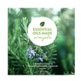 thumbnail image 1 of Pre-Owned Essential Oils Made Simple Book (Paperback) 1792349491 9781792349492, 1 of 1