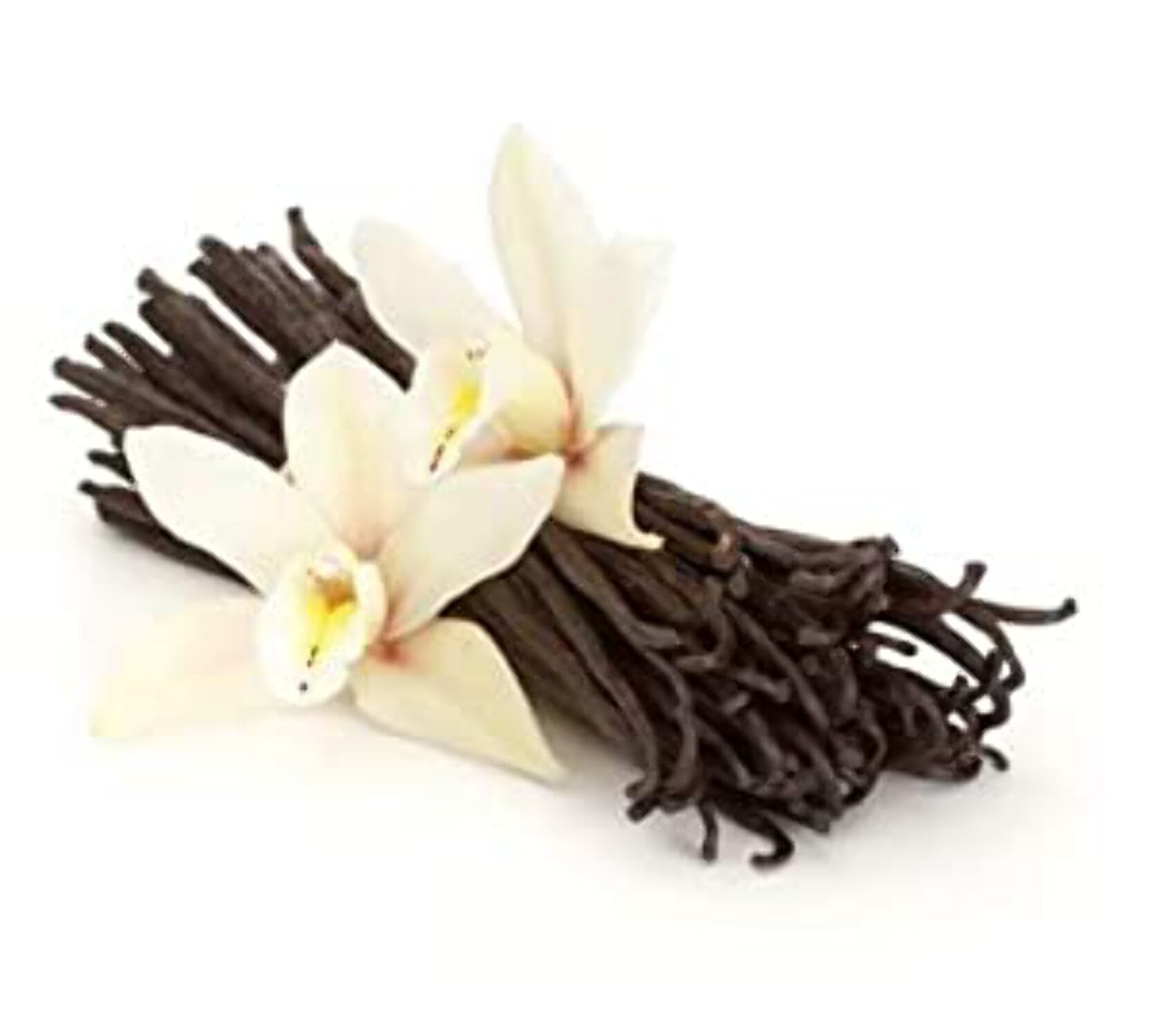 Essential Spice Gourmet Madagascar Bourbon Vanilla Beans - 25 Bean Pack
