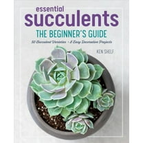 Essential Succulents : The Beginner's Guide (Paperback)